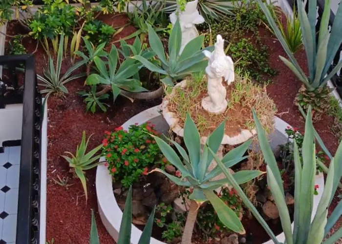 Marezia Κοραλέχο