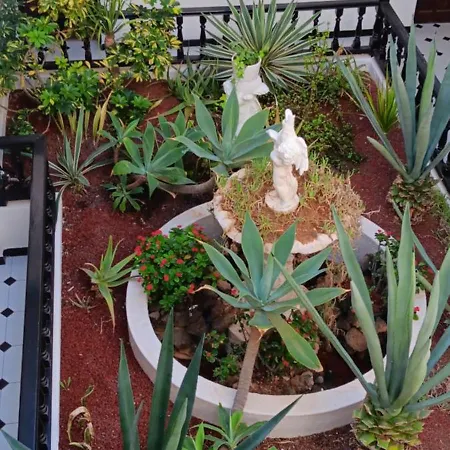 Marezia Κοραλέχο