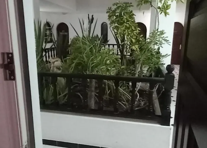 Marezia * Corralejo
